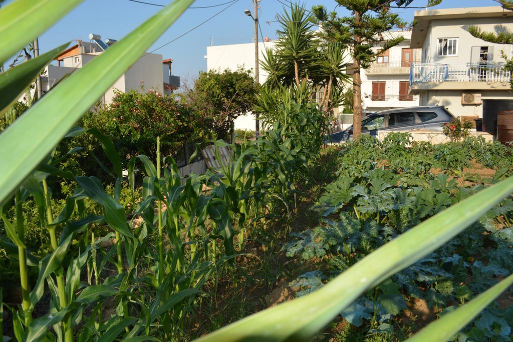 Thegaia Studios Rethymno  Bagian luar foto